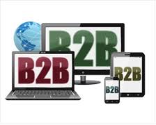 Learn About B2b Website Development